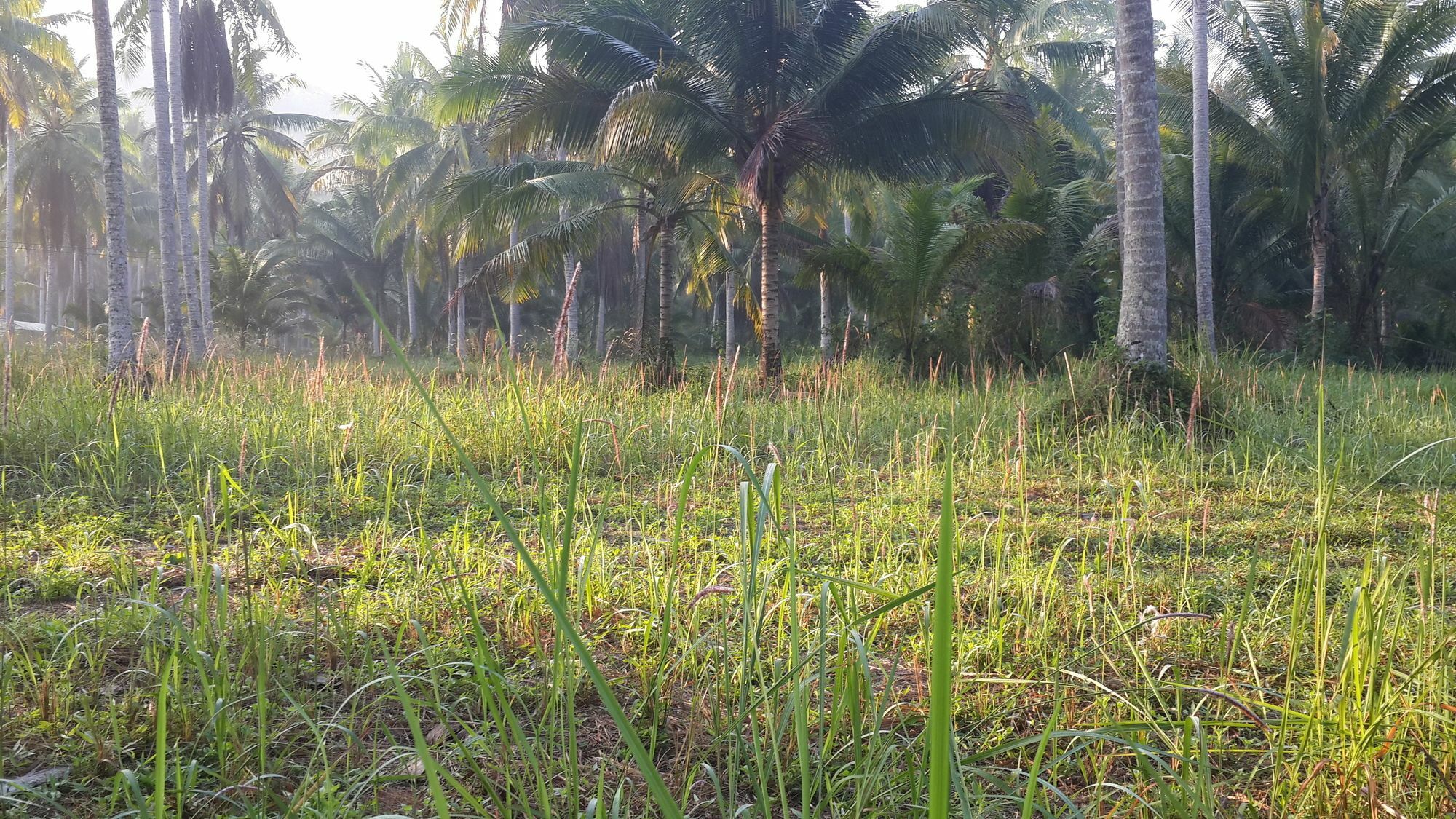 Baan Phuean Koh Kood Ko Kut Exterior foto