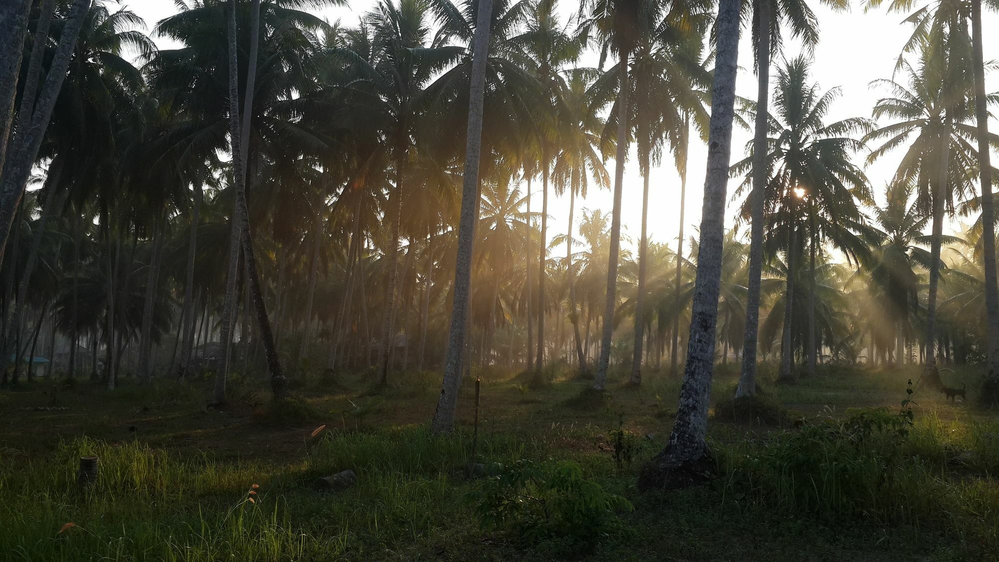 Baan Phuean Koh Kood Ko Kut Exterior foto